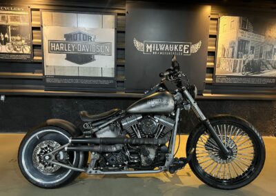 SOFTAIL FX