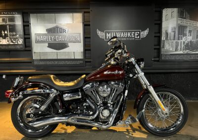 DYNA SUPER GLIDE