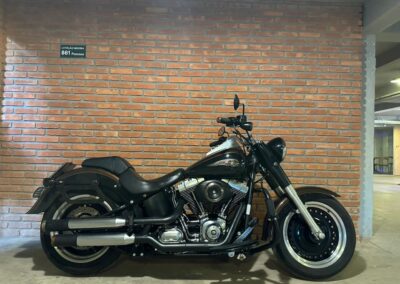 FAT BOY LOW SPECIAL 110TH